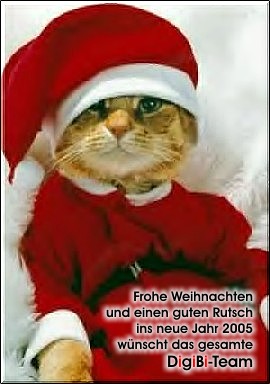 Die Weihnachtskatze
