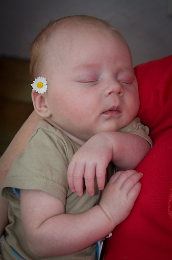 � Copyright Horst Ulbrich
