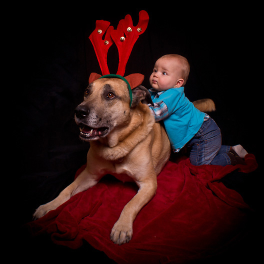 � Copyright Horst Ulbrich