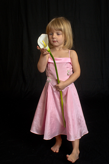 � Copyright Horst Ulbrich