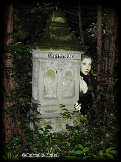 � Copyright Roland K. Mettel