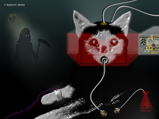 � Copyright Roland K. Mettel