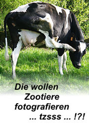 Workshop: Zoofotografie